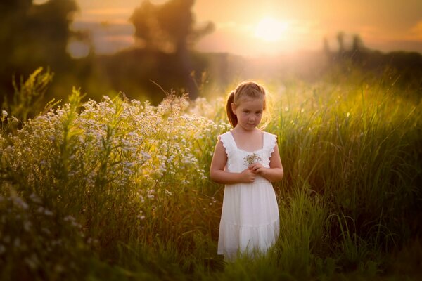 Kleines Mädchen in einem weißen Kleid im Sommer im Feld