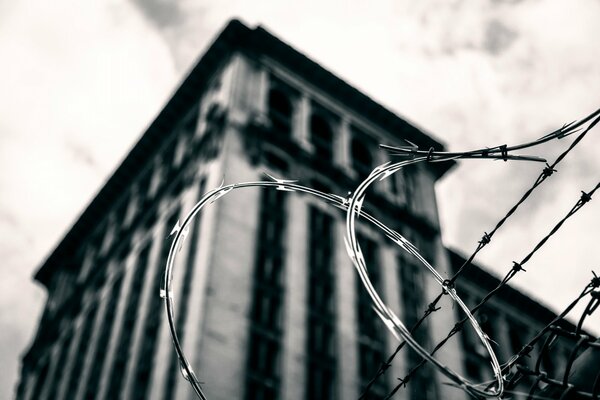 Alambre de púas en el fondo de un edificio en Detroit