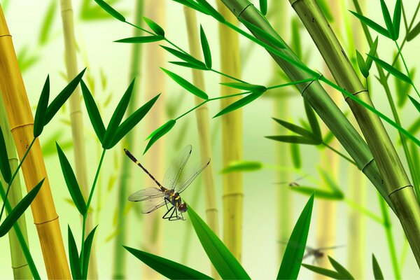 Libellula su di me non ha nemmeno gli ultimi anni della sua vita ha lavorato presso il dipartimento con l area totale del centro di Mosca