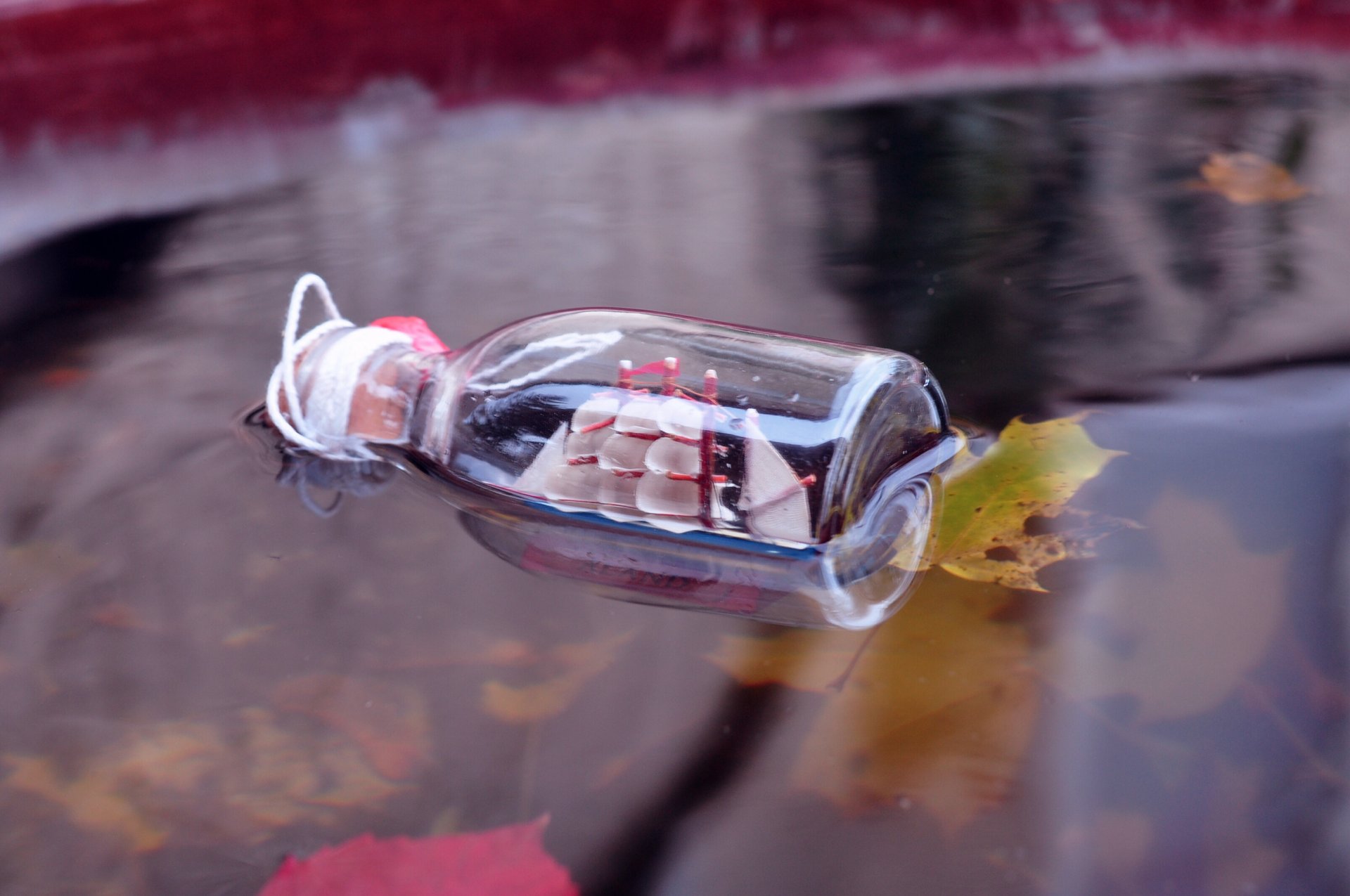 fiume foglie bottiglia nave