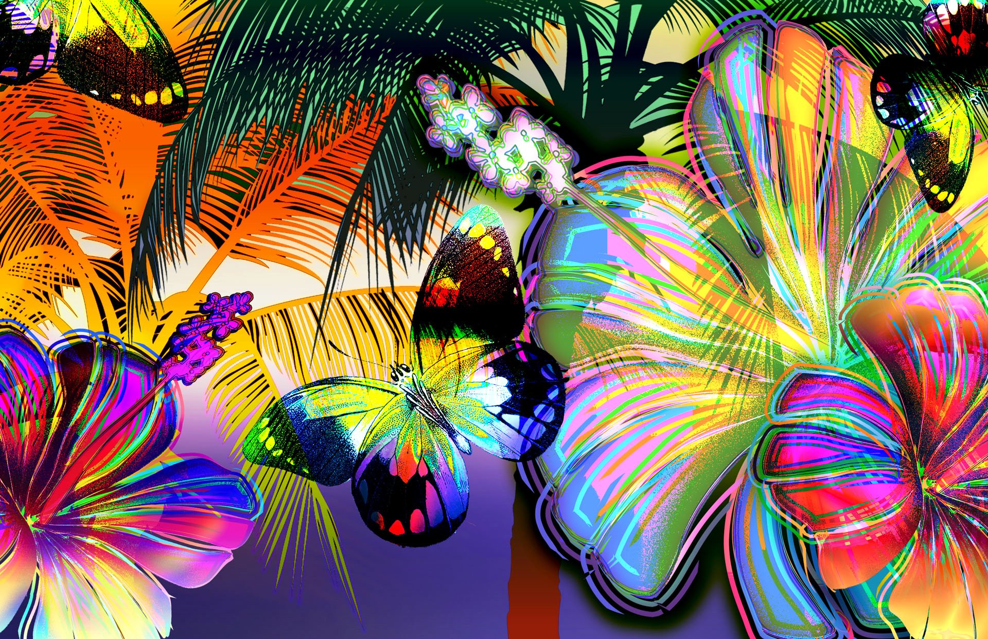 art flower butterfly picture palma