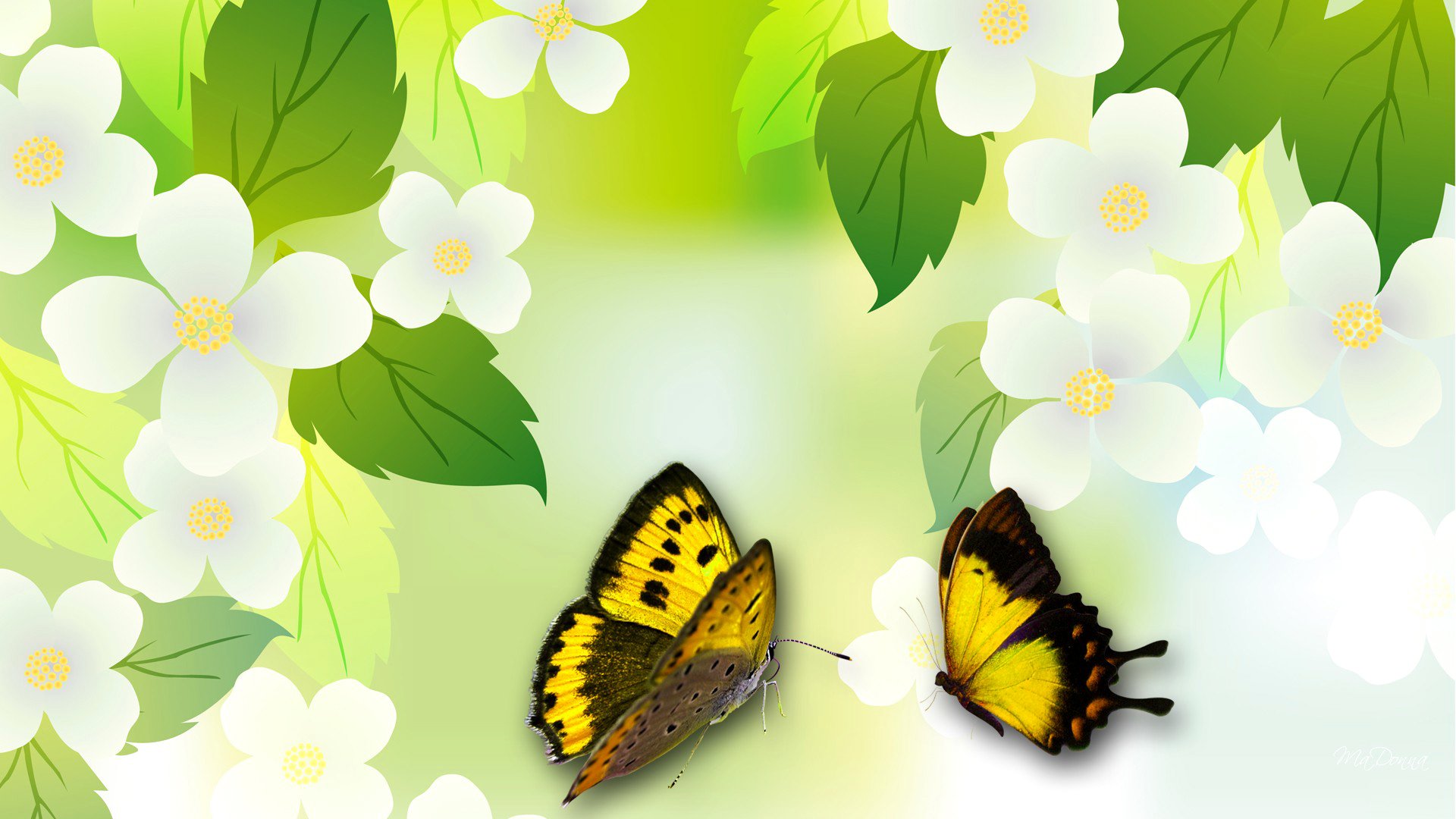 collage flores hojas primavera mariposa