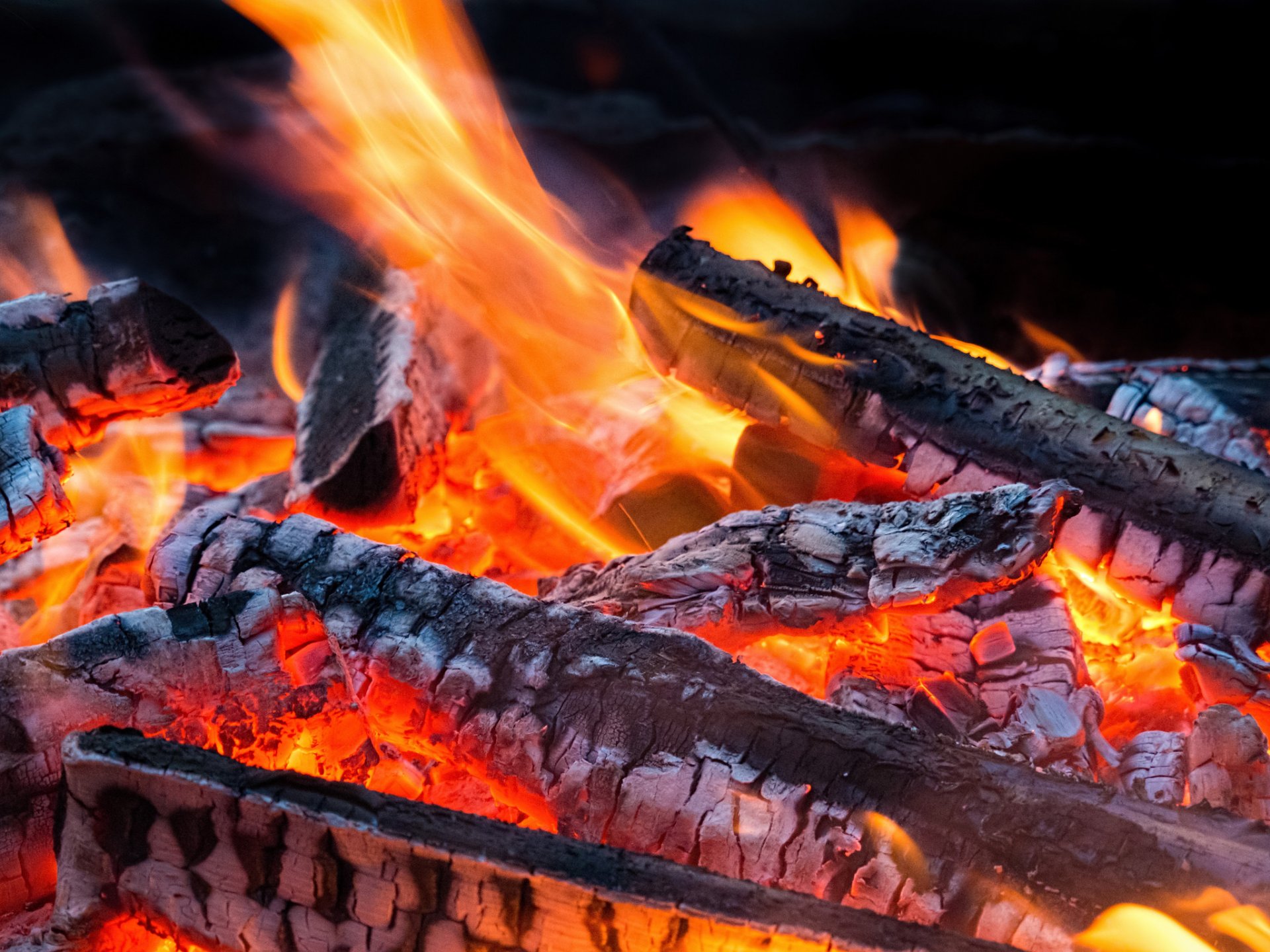 hoguera fuego llama troncos ceniza