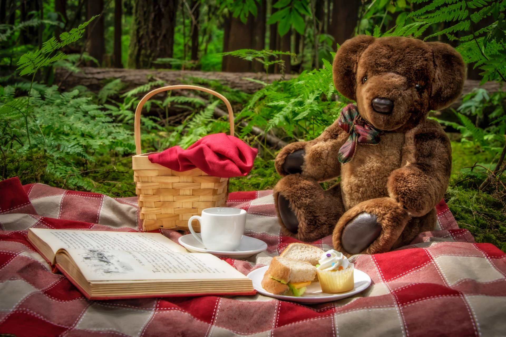 picnic teddy bear bear toys basket book cup sandwiches nature