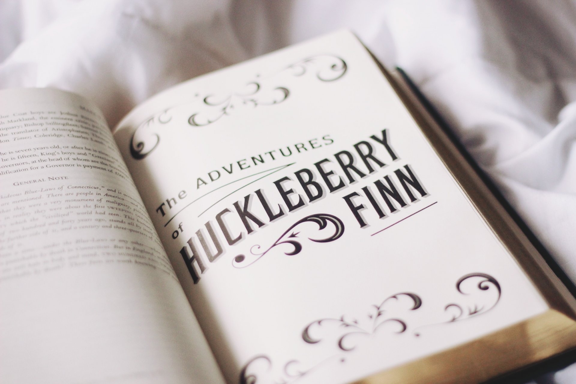 buch text seiten