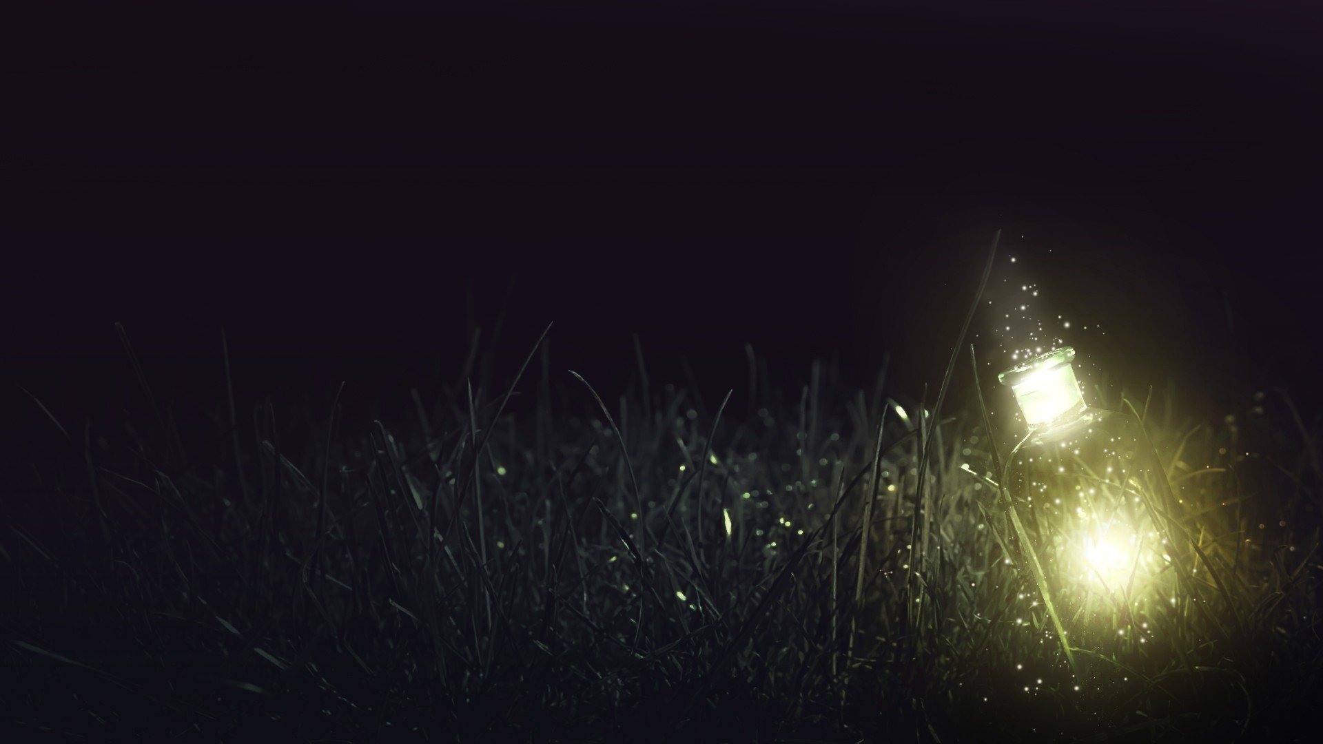 nacht gras licht lichter flasche glas