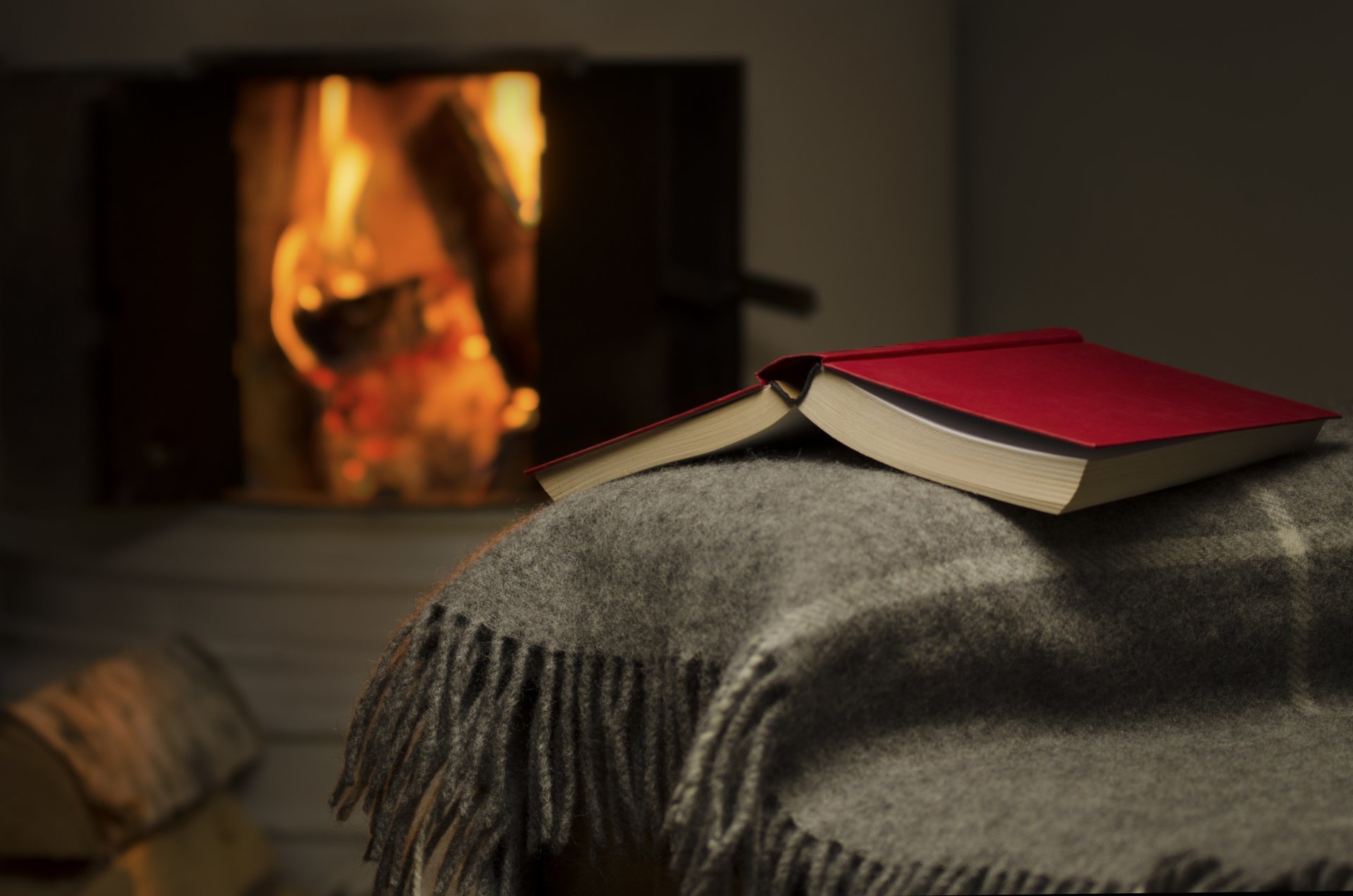 fireplace book fire plaid