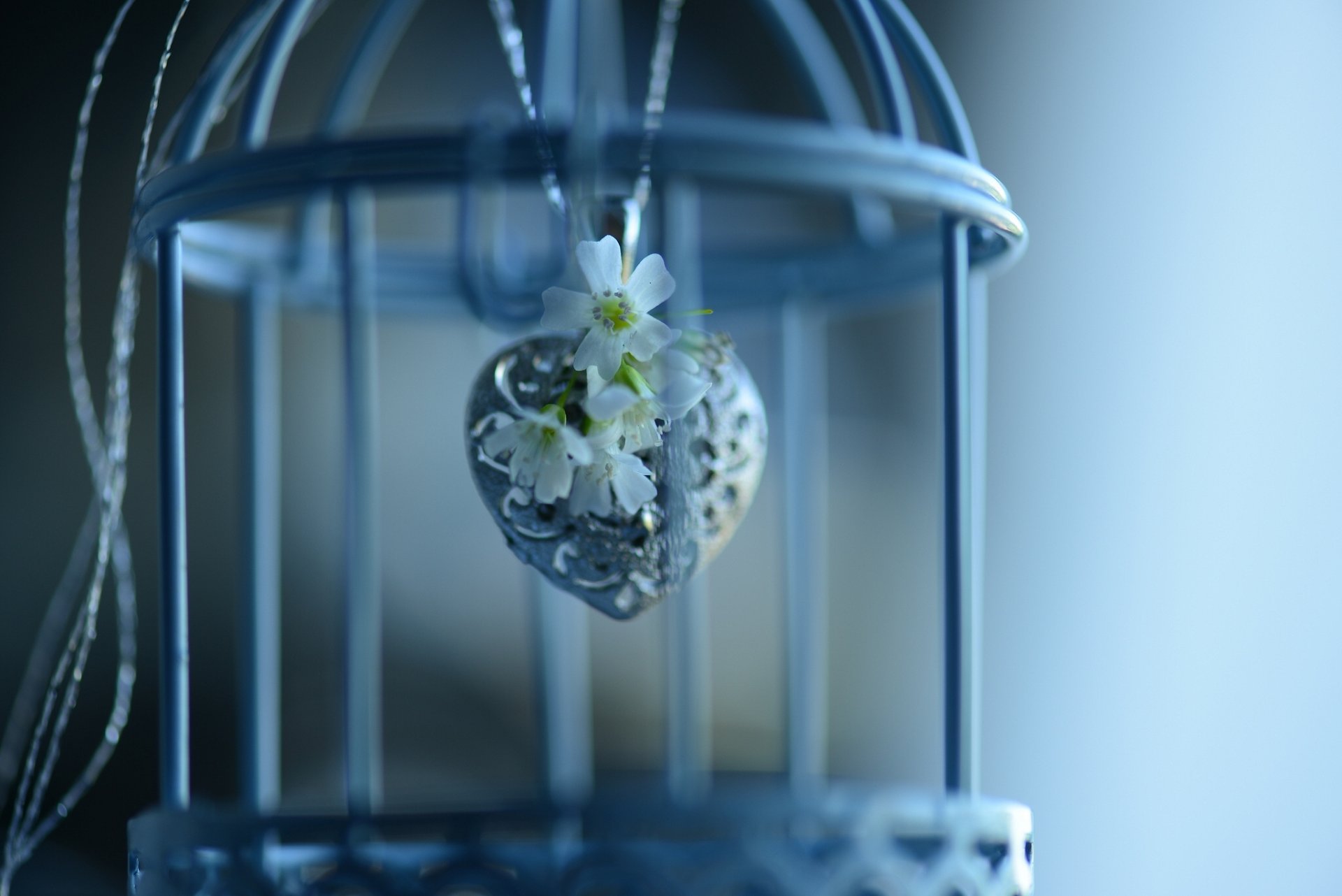 cage pendentif coeur fleurs