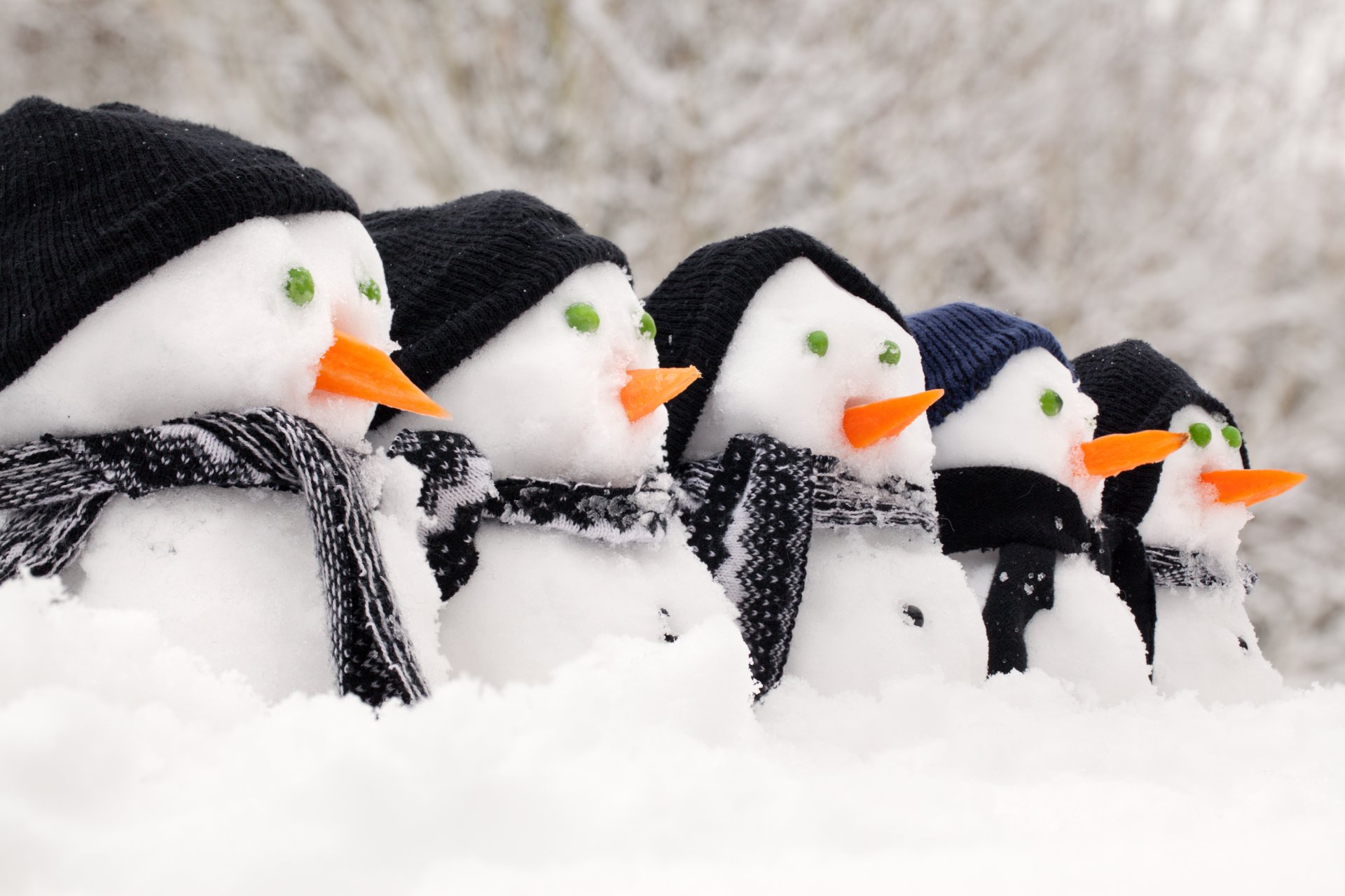 pupazzi di neve cappelli sciarpe carote neve