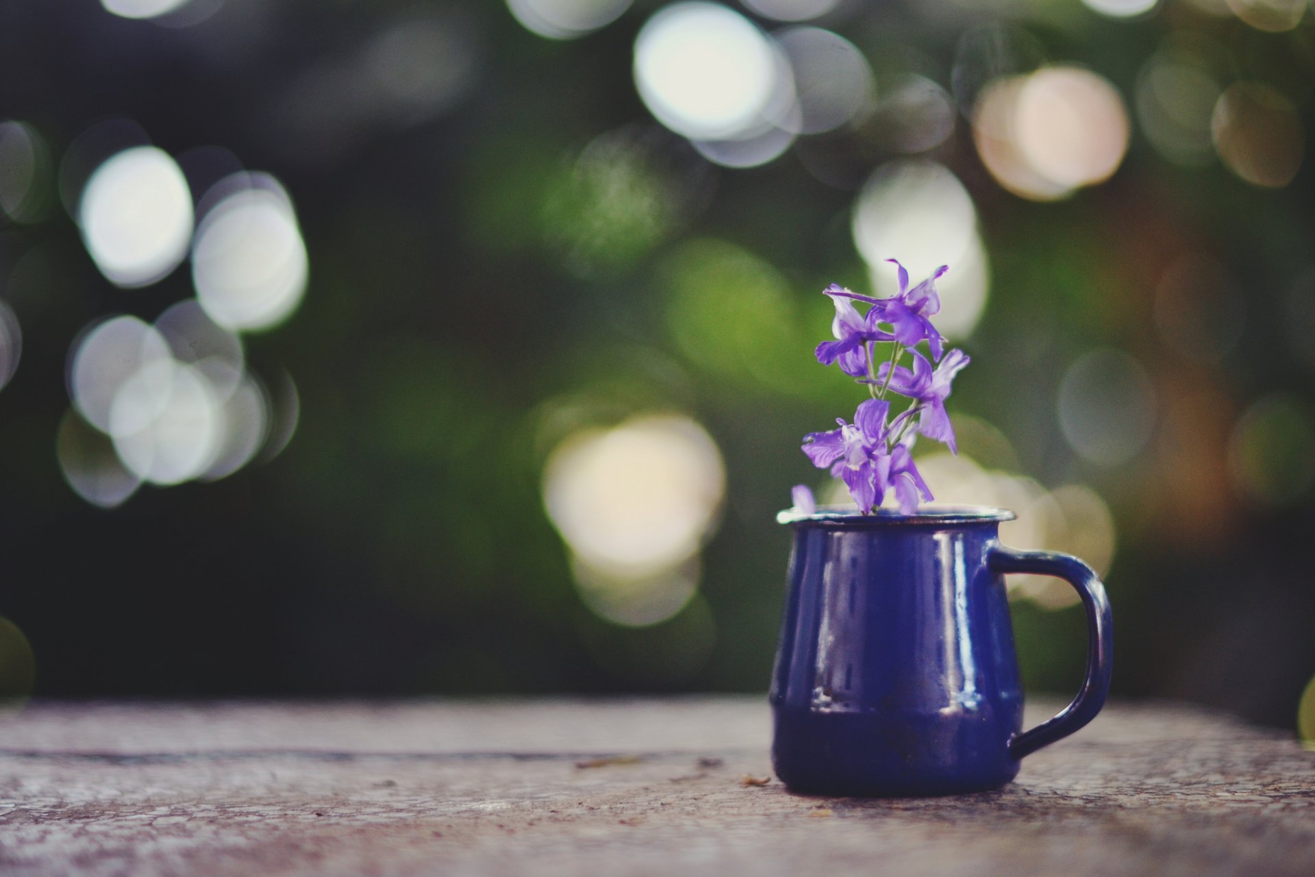 taza flor púrpura resplandor