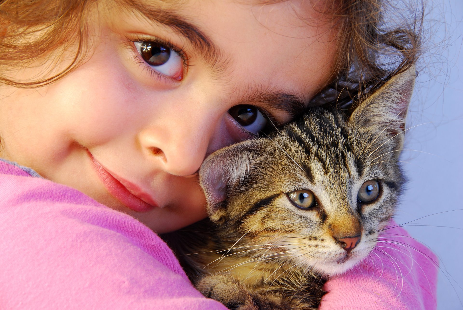 mood brown eyes view animals kitten