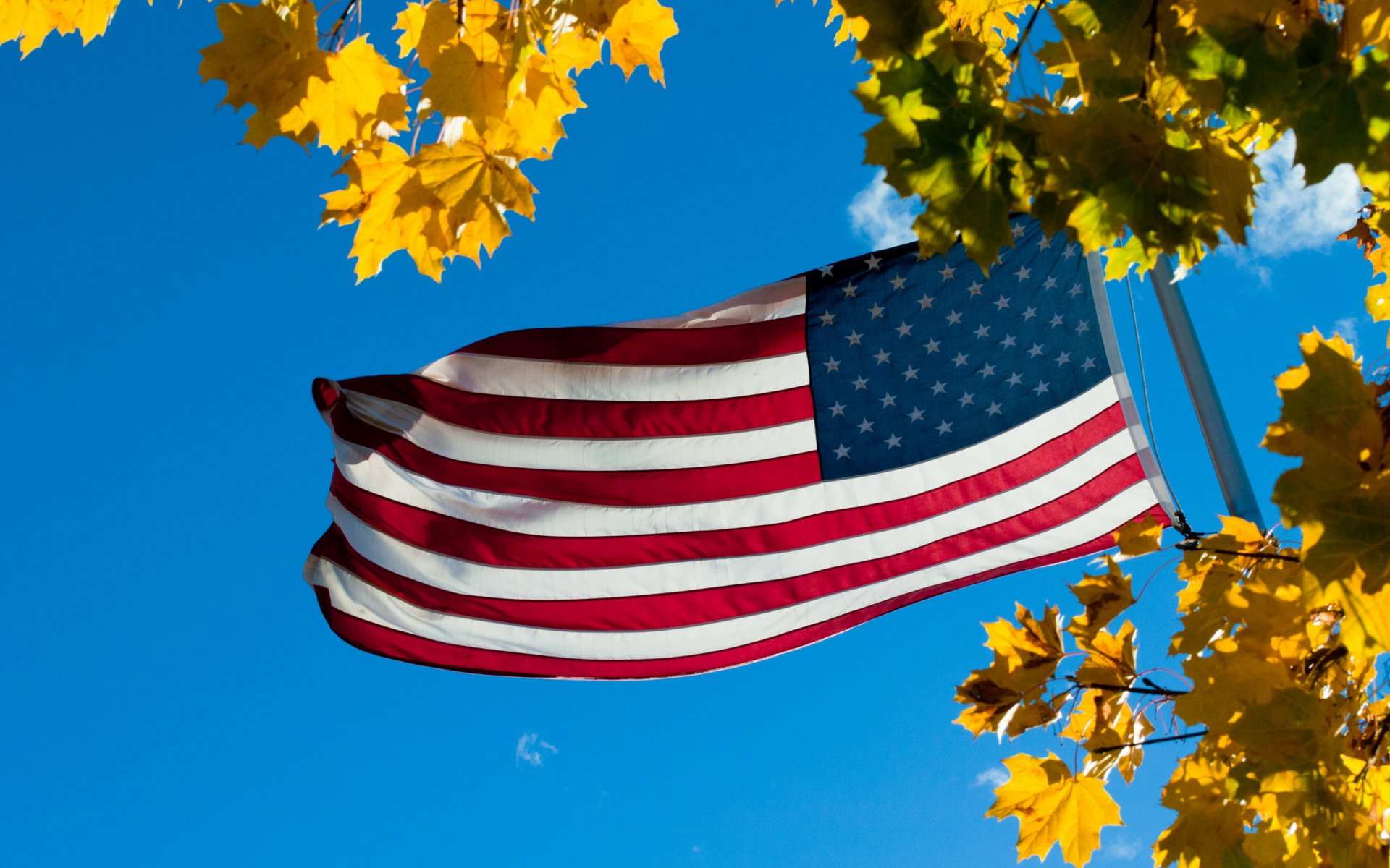 drapeau feuilles ciel