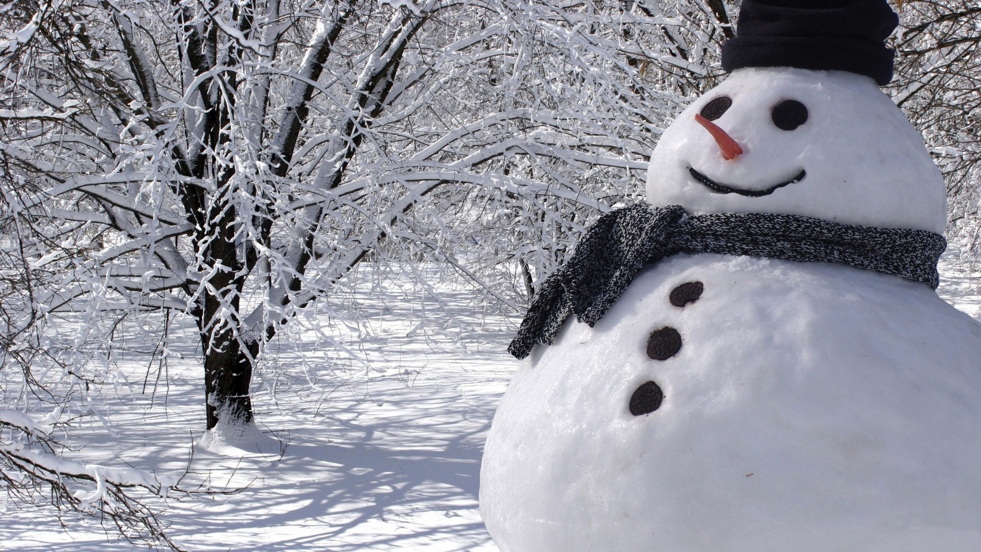 forest winter snow snowman shlyapa.sharf carrot frost