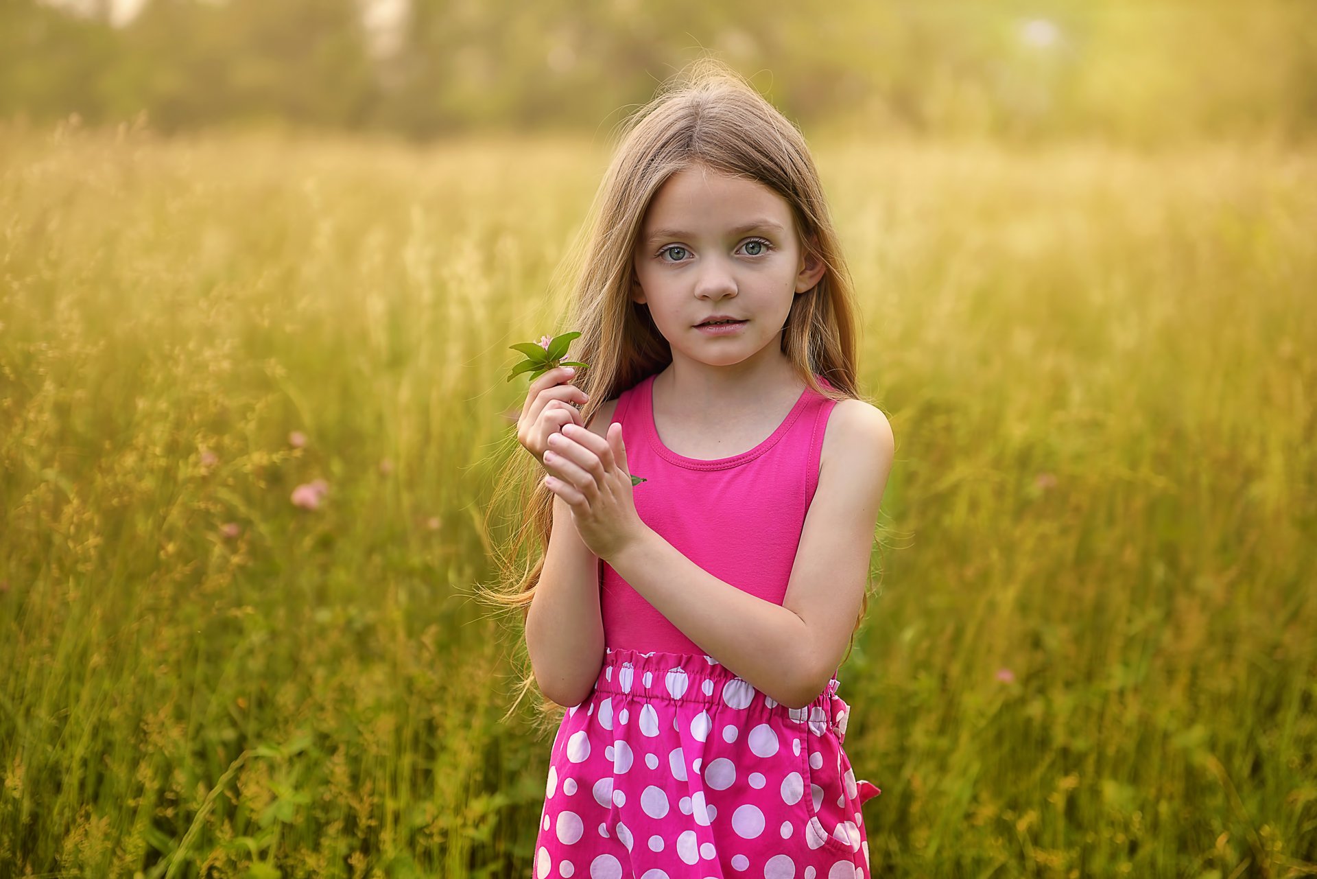 girl the field flower