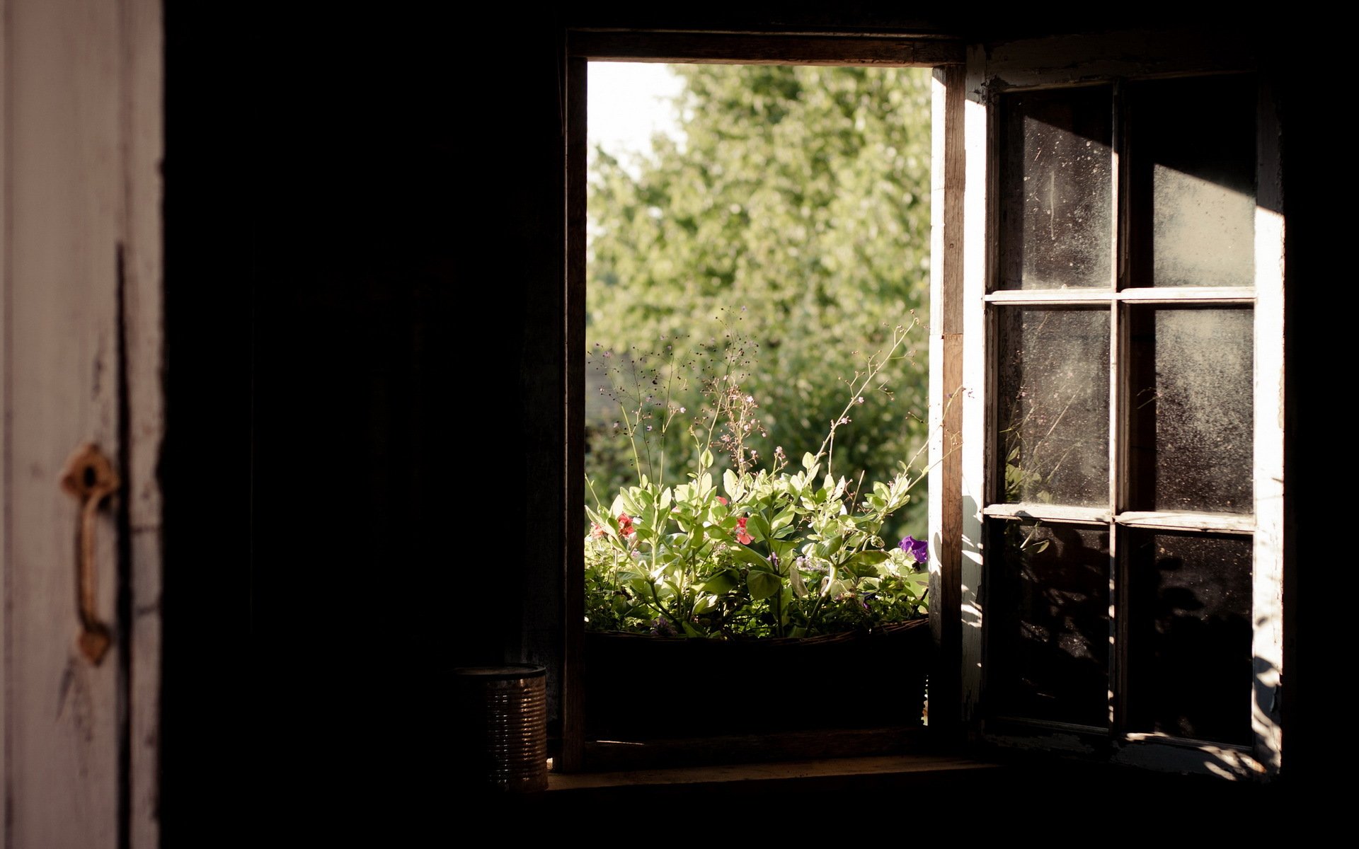 chambre fenêtre nature