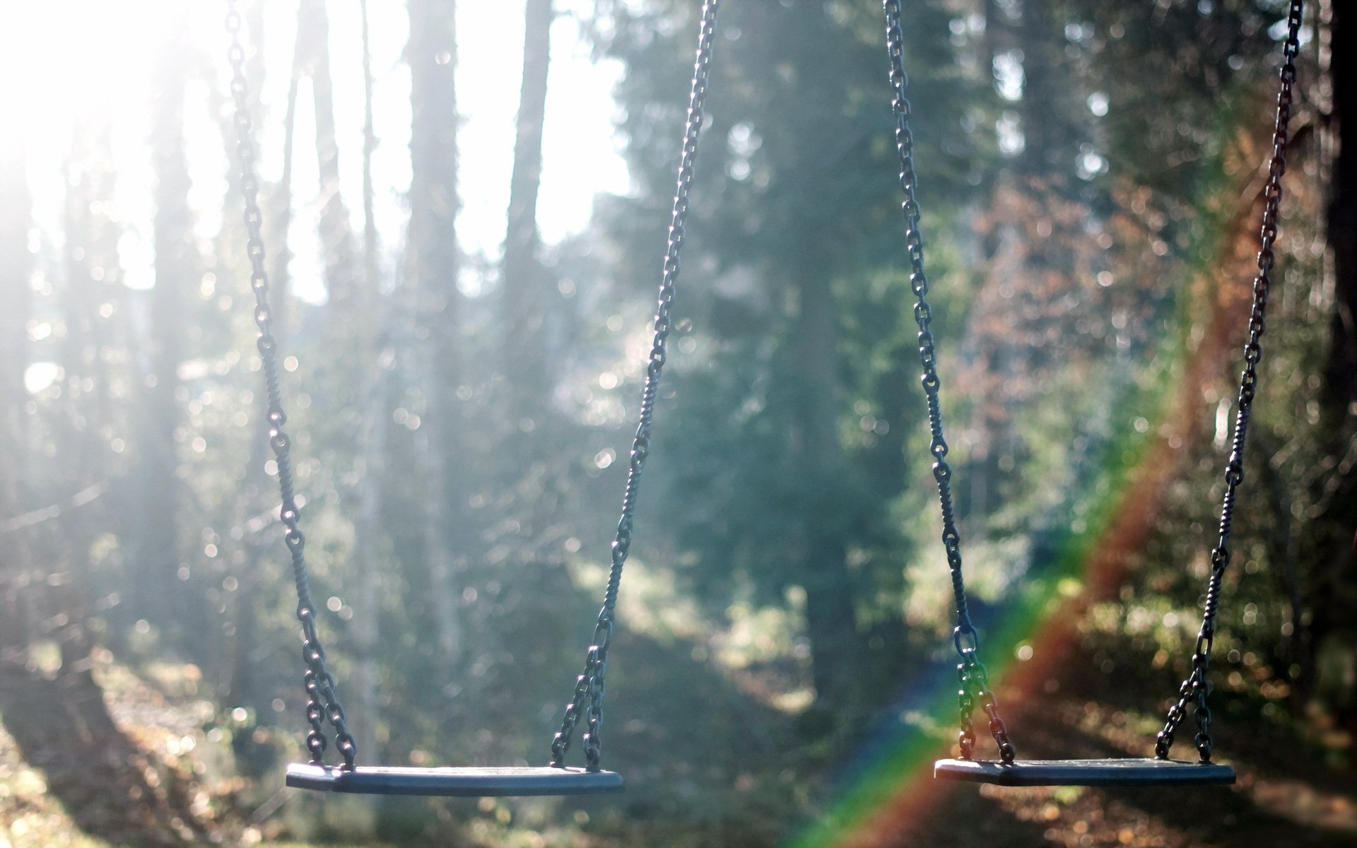 swing matin brouillard