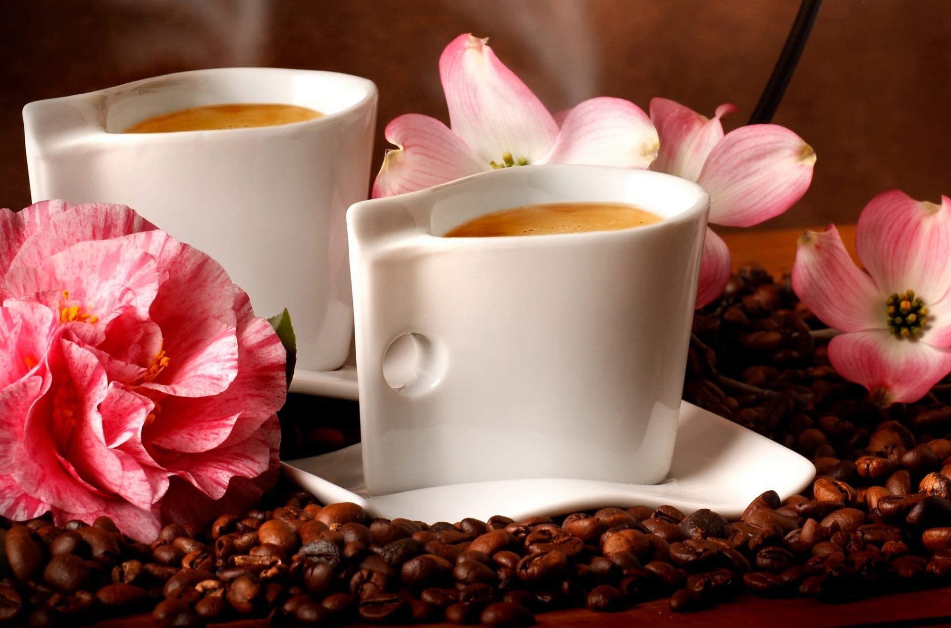 caffè aroma chicchi di caffè fiori aroma di chicchi di caffè