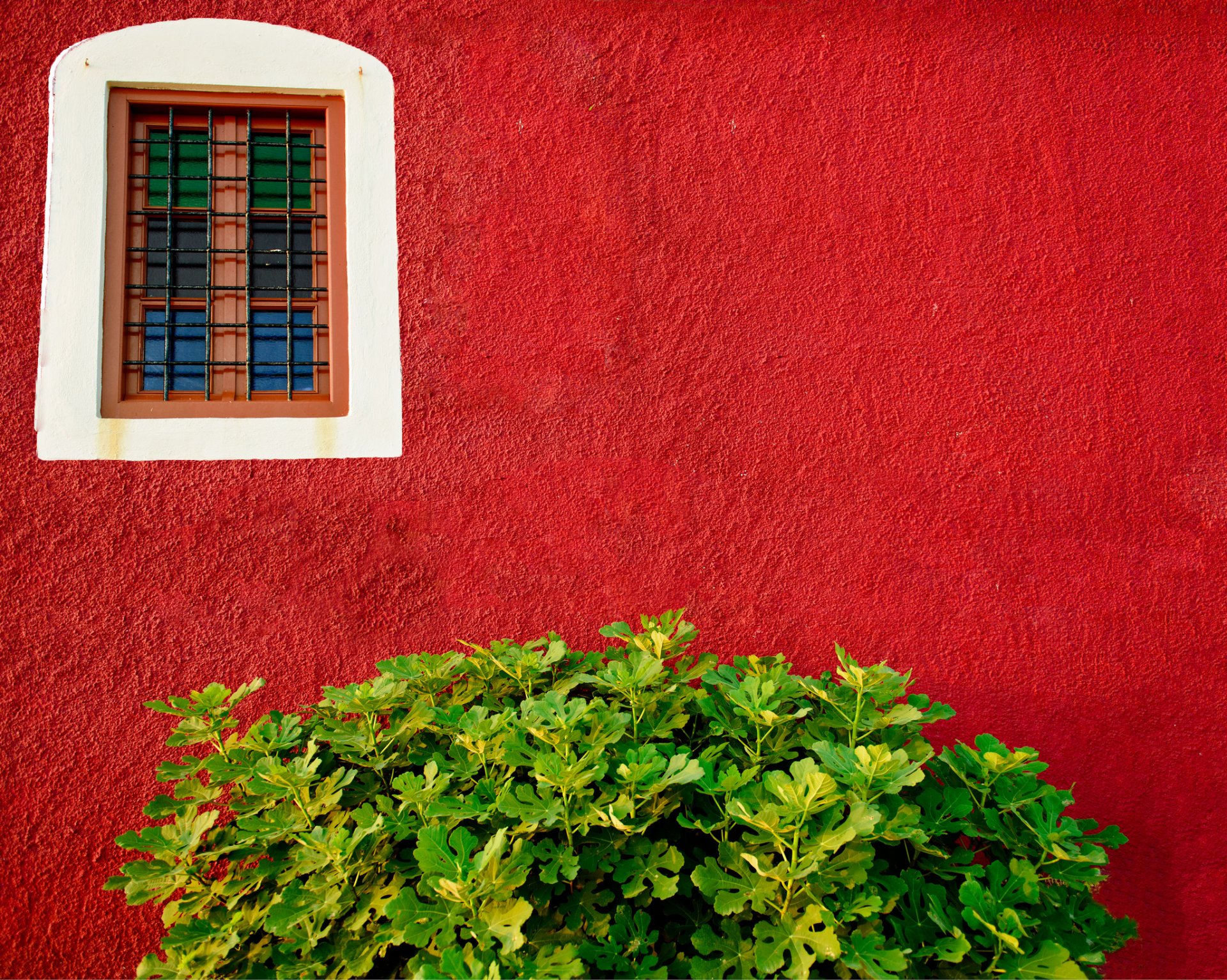 muro rosso finestra cespuglio verde