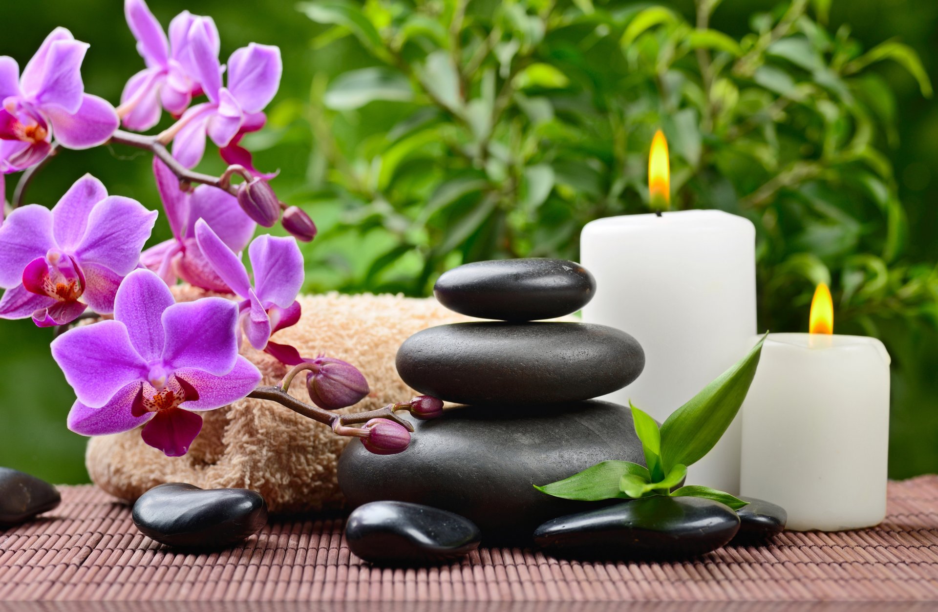 pa stones towel leaves orchid