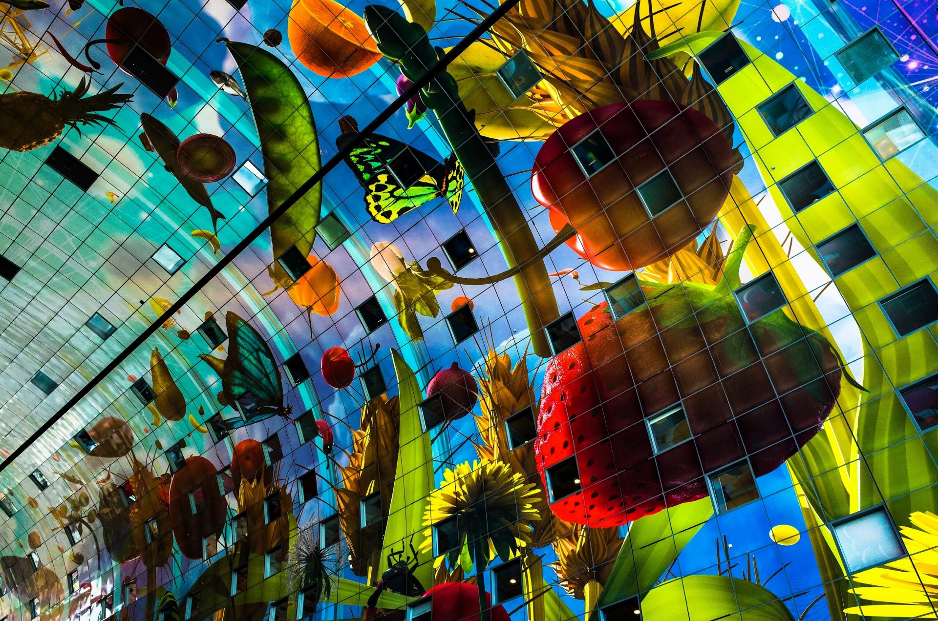 markthal rotterdam rynek wewnętrzny rotterdam holandia architektura budynek owoce warzywa