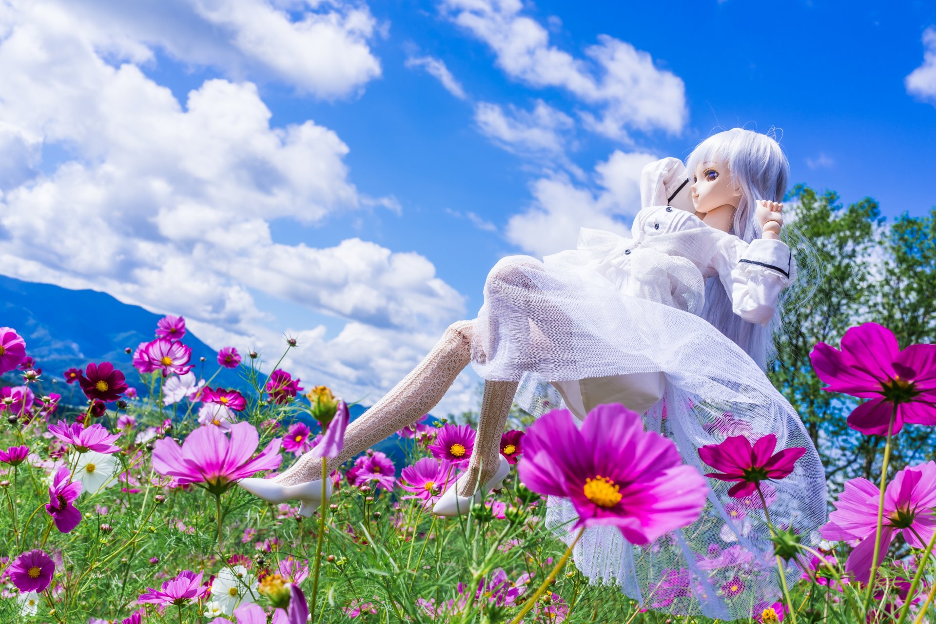 poupée jouet fleurs cosmée pré nuages humeur