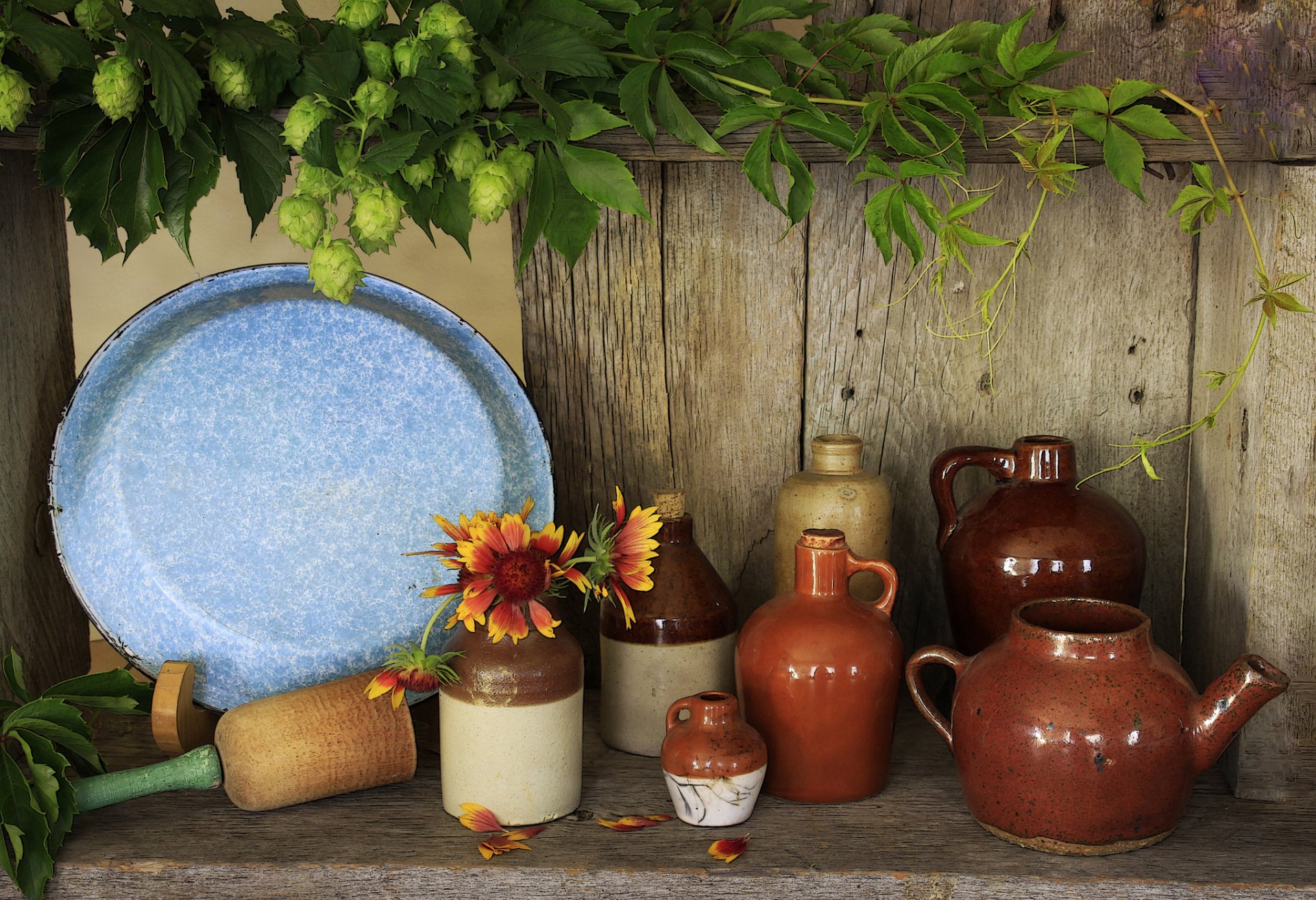 vaisselle carafes houblon feuilles