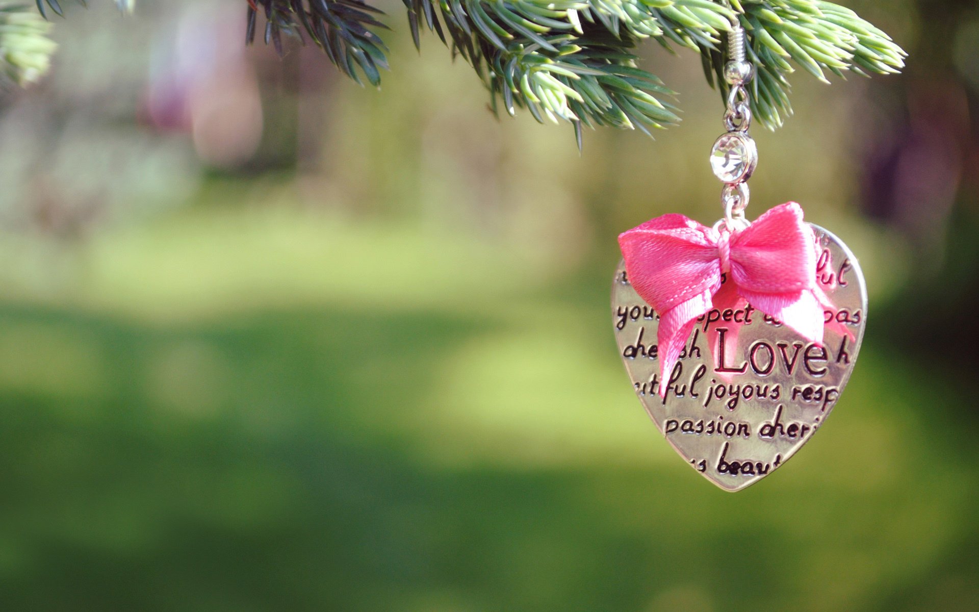 liebe herz bokeh baum