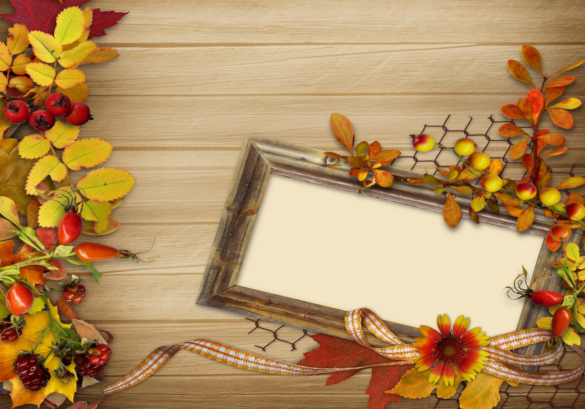 autumn vintage background leaves berries flower frame