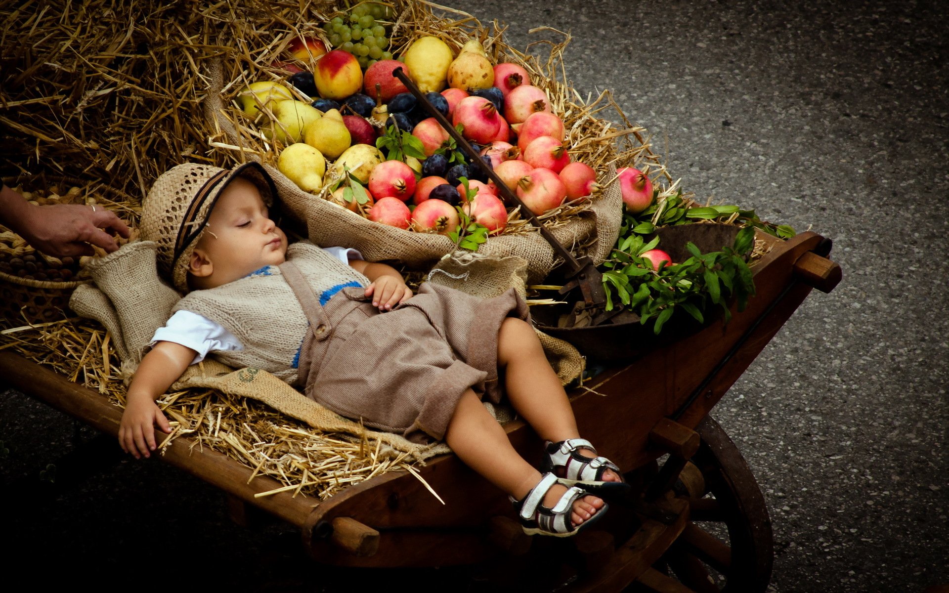 ragazzo passeggino frutta