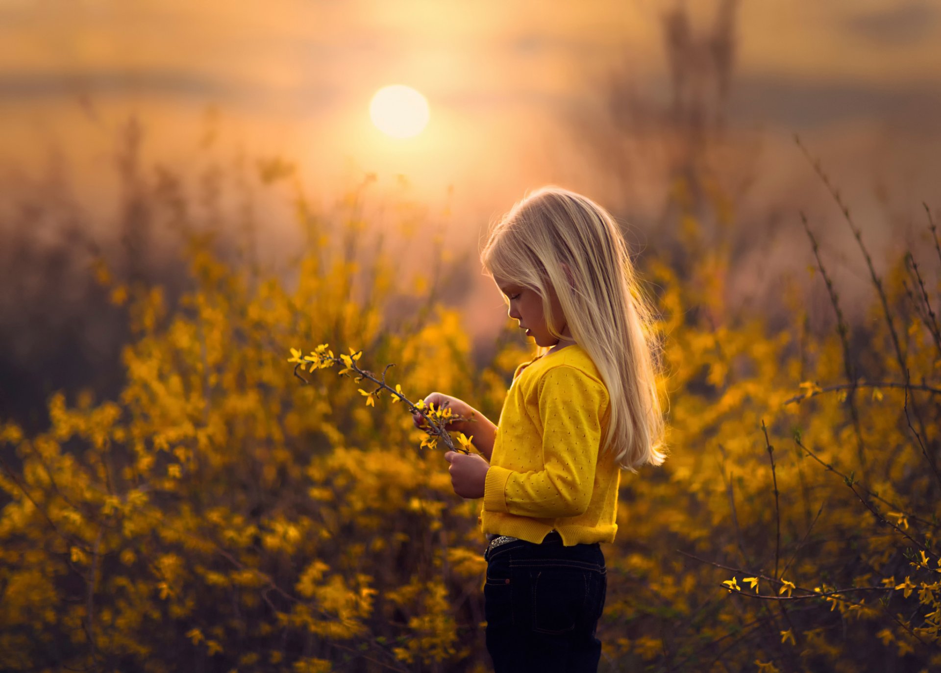 gelb frühling mädchen zweig sonne