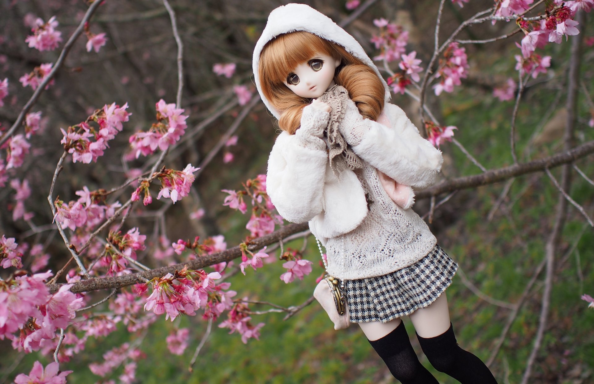 bambola giocattolo sakura ciliegia fiore rami