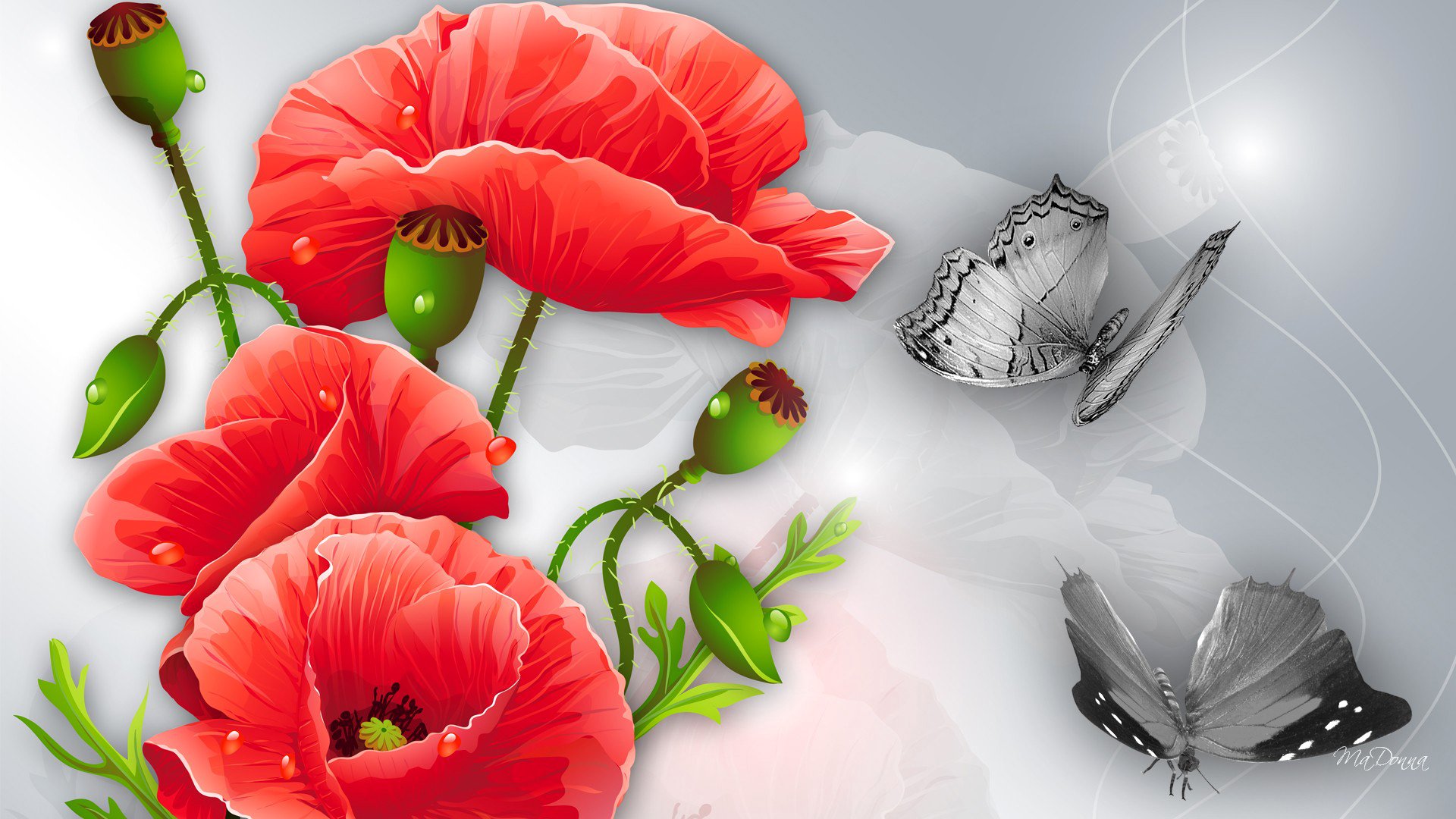 blumen mohn schmetterling collage zeichnung vektor