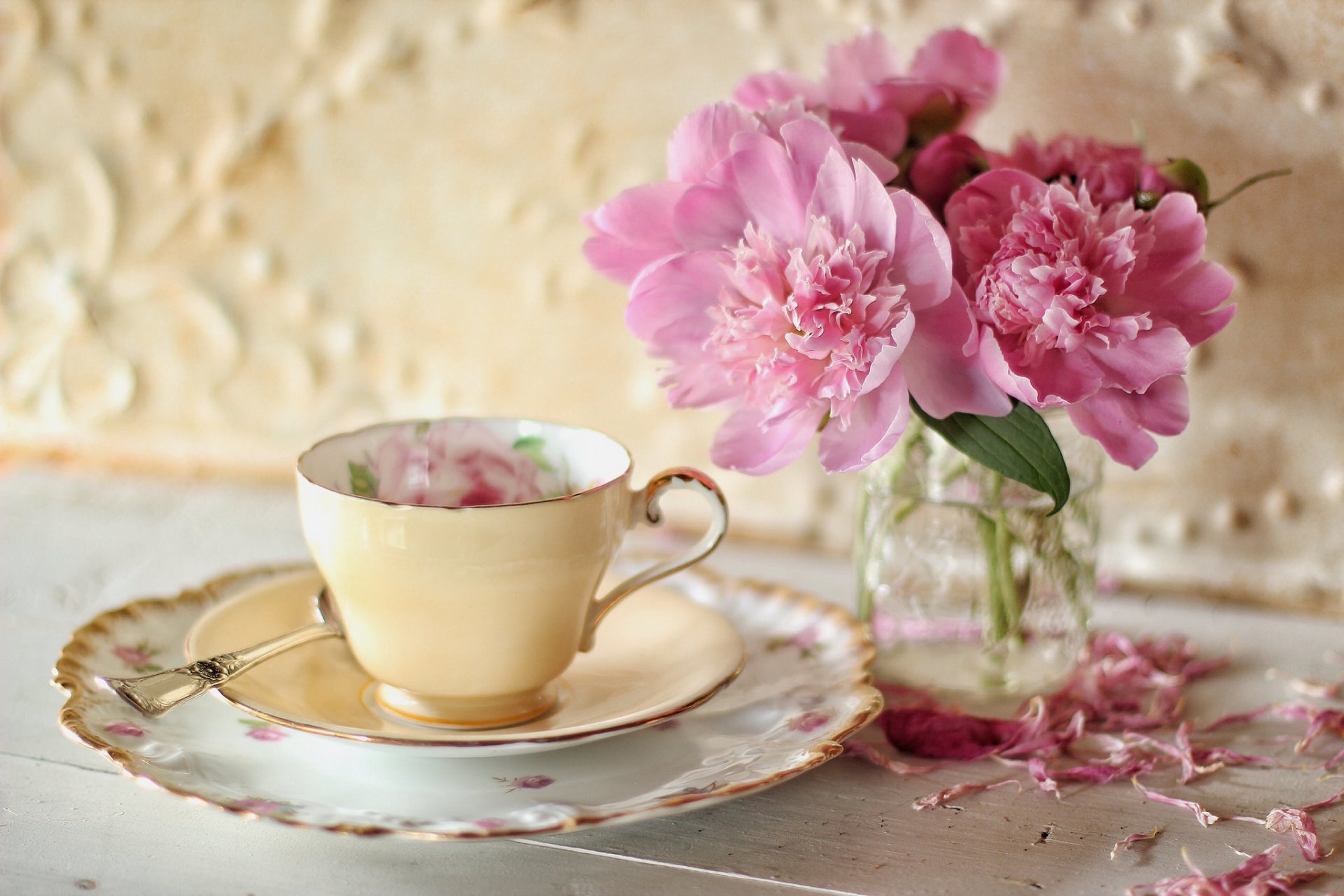 fleurs pivoines pétales tasse soucoupe