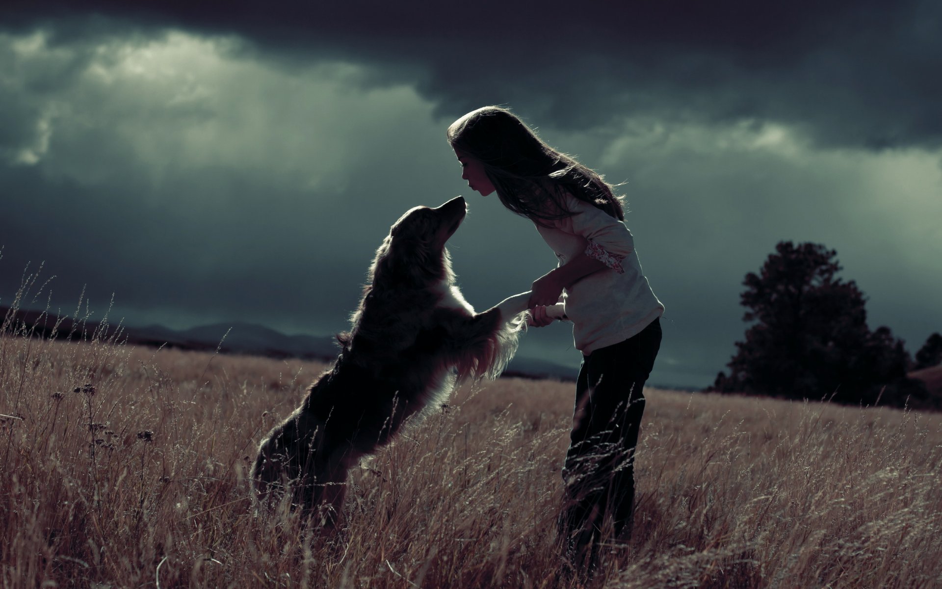 ragazza cane campo gioia