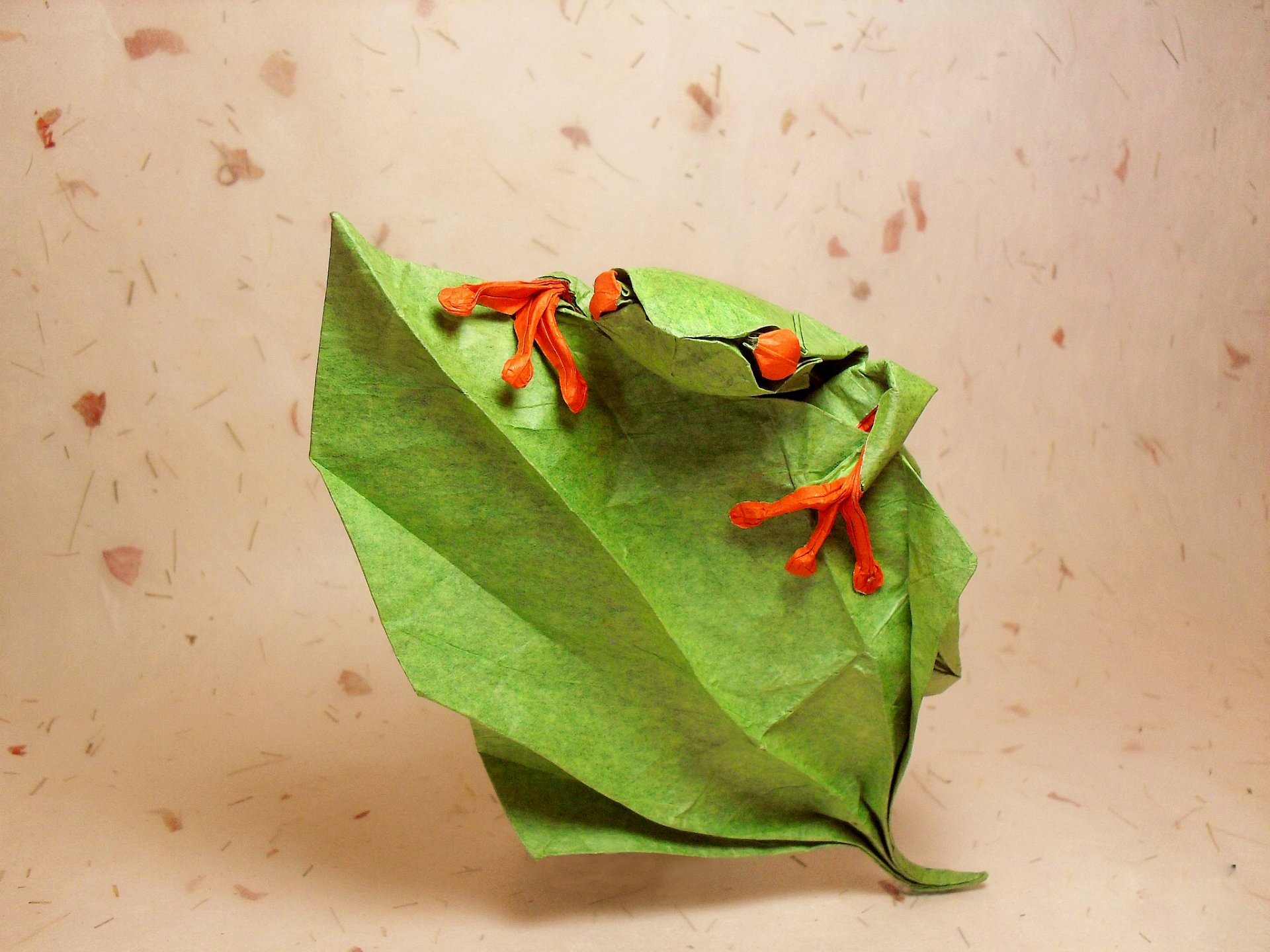 origami frosch augen blatt aufstieg grün blätter steigen