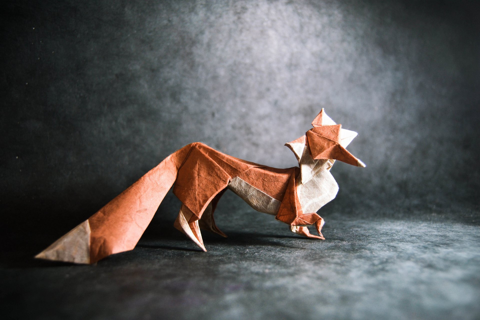 origami fox tail grey