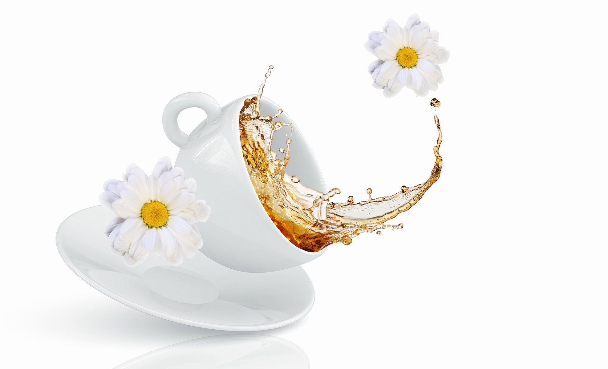 taza té aerosol flores crisantemos aerosol