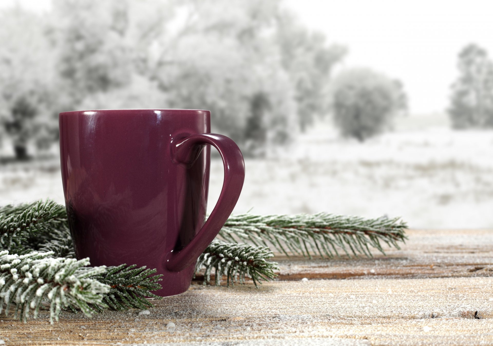 winter schnee natur tassen kaffee landschaft