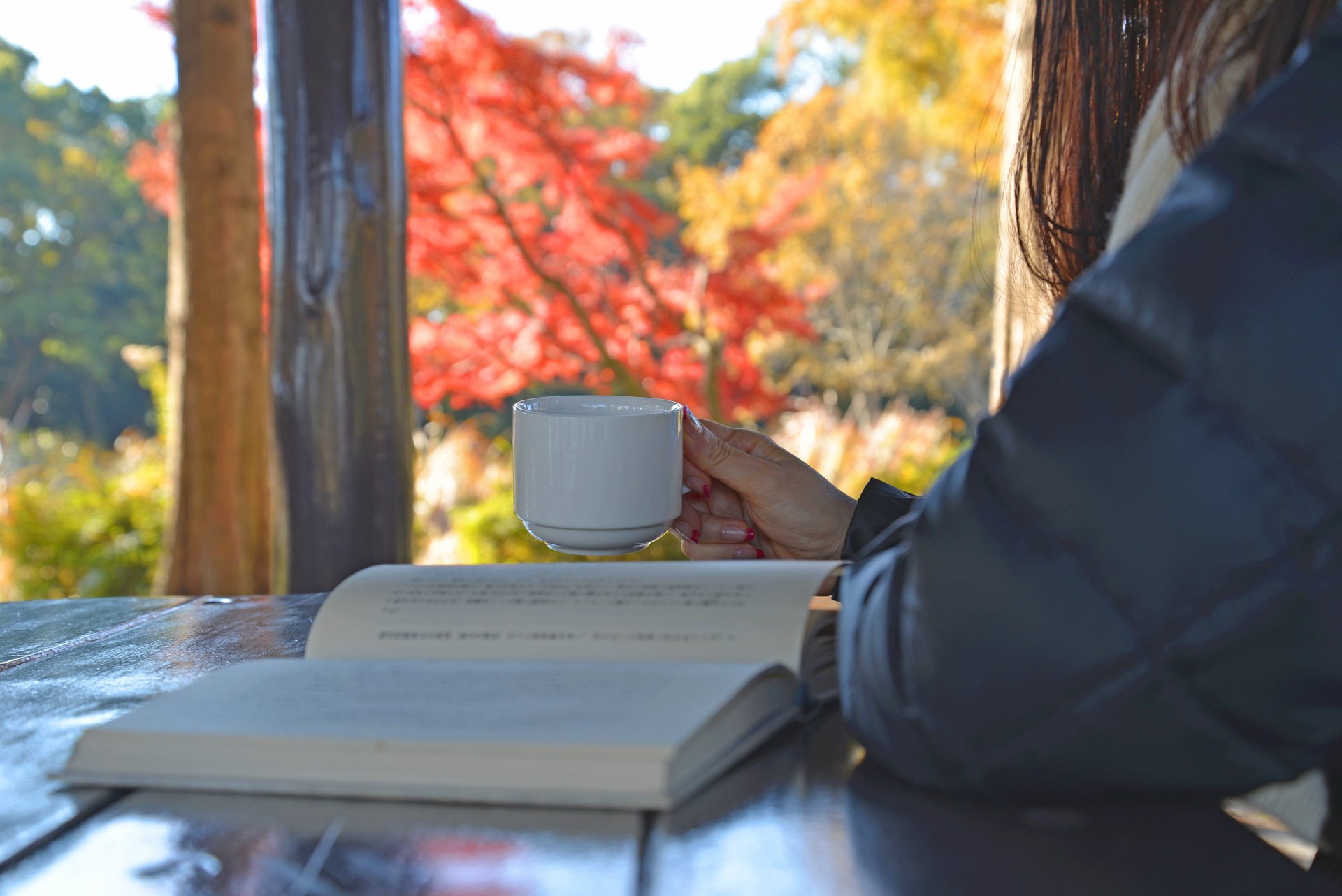 frau buch trinken fenster tee tasse lesen