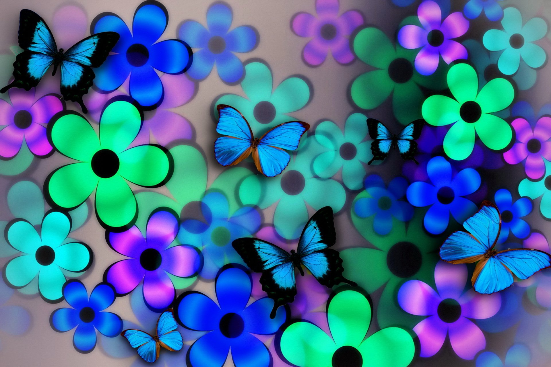 fleurs pétales ailes papillon collage