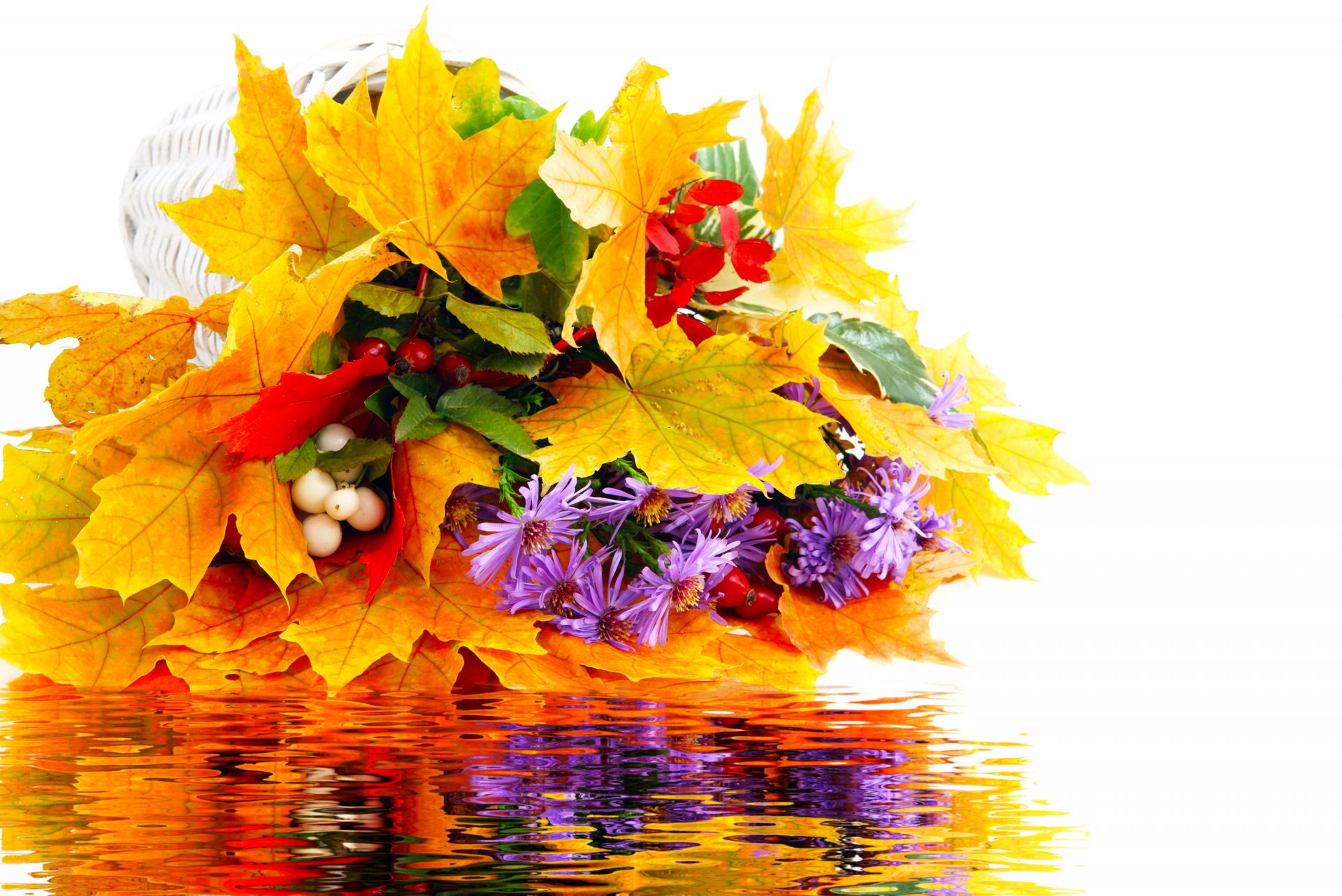 bouquet foglie fiori autunno acqua riflessione