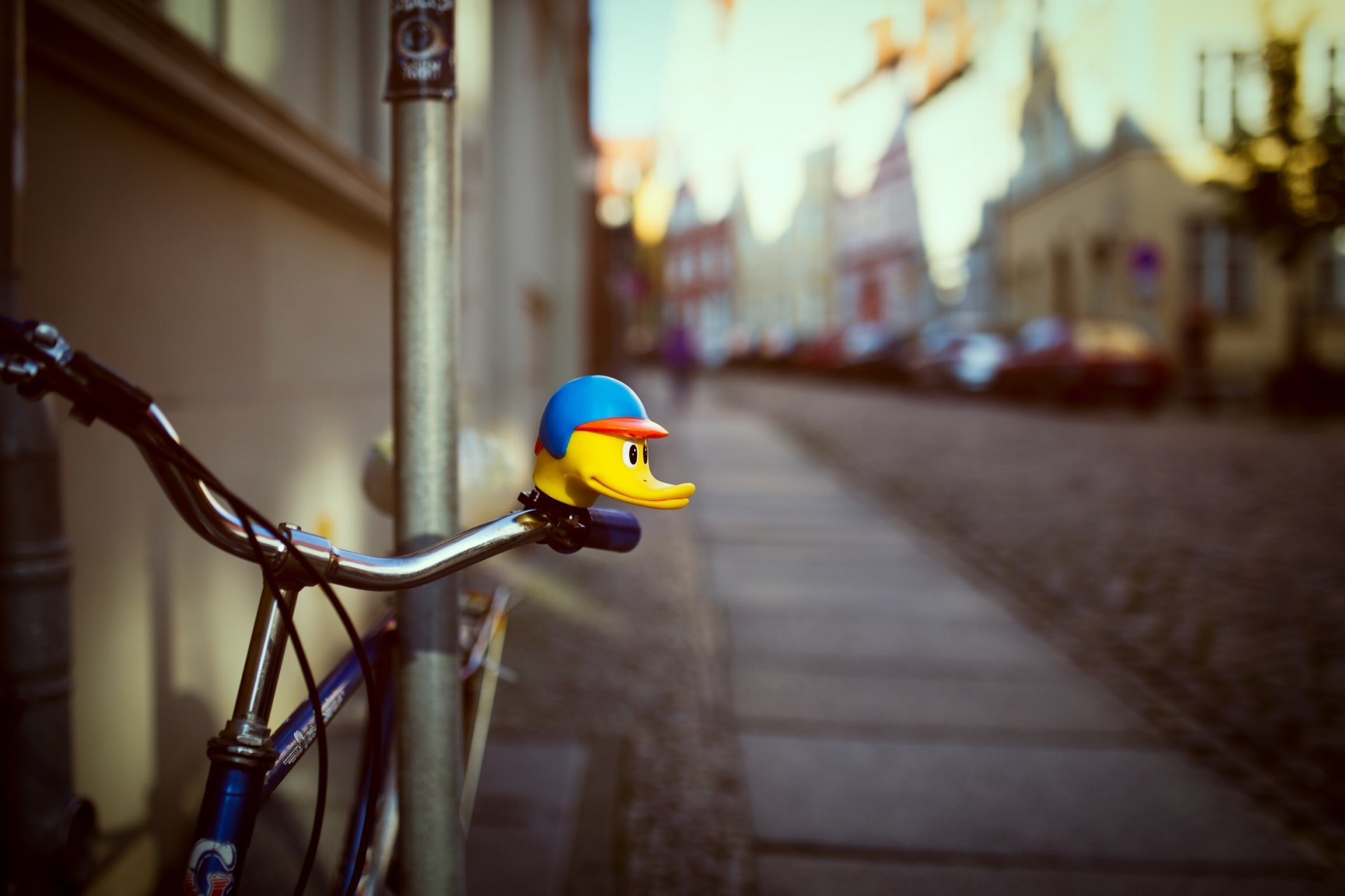 rower kaczka dom