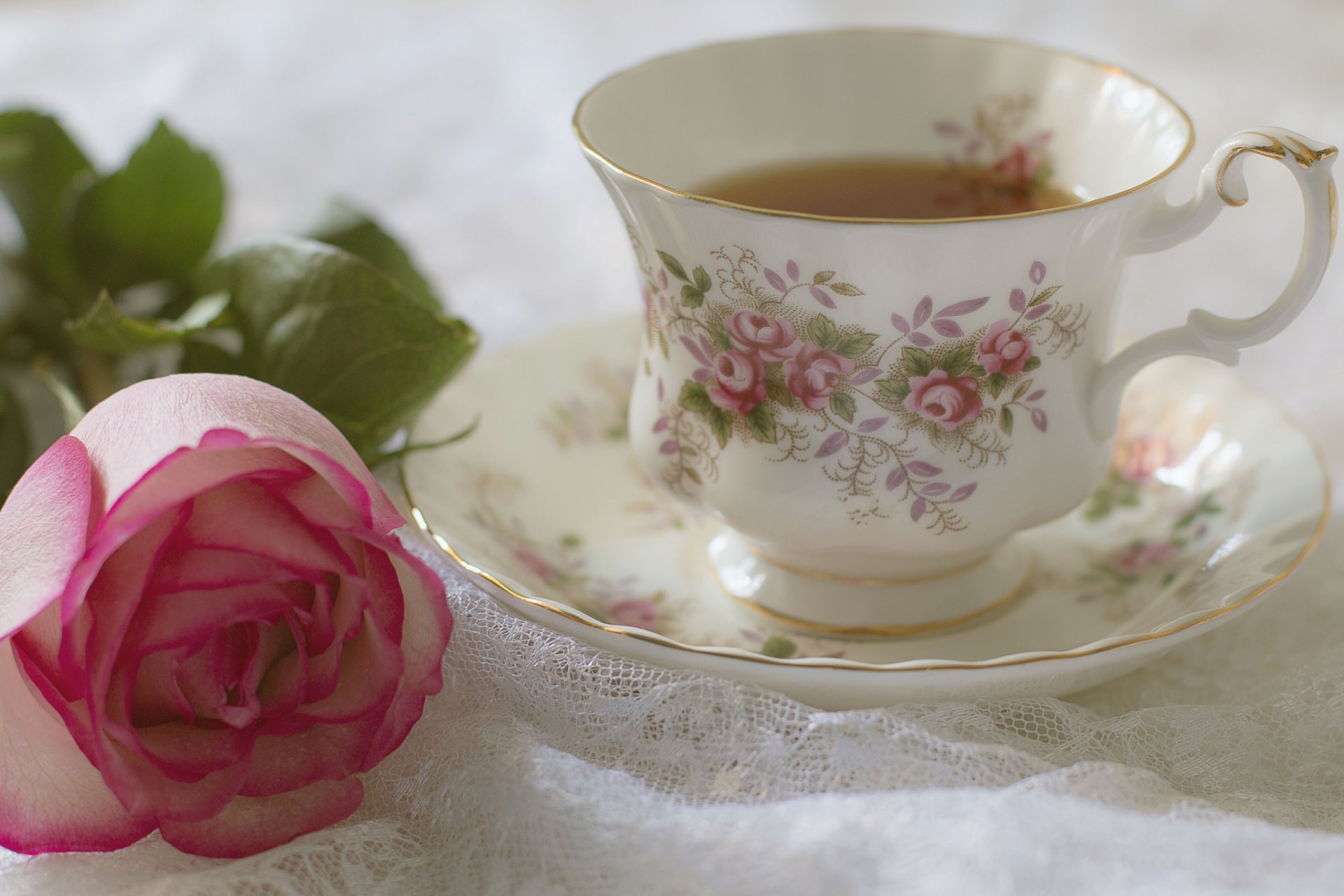 still life fiore rosa petali bocciolo tazza tè piattino