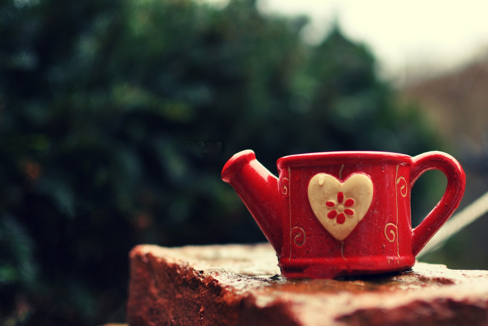 taza regadera taza corazón corazón