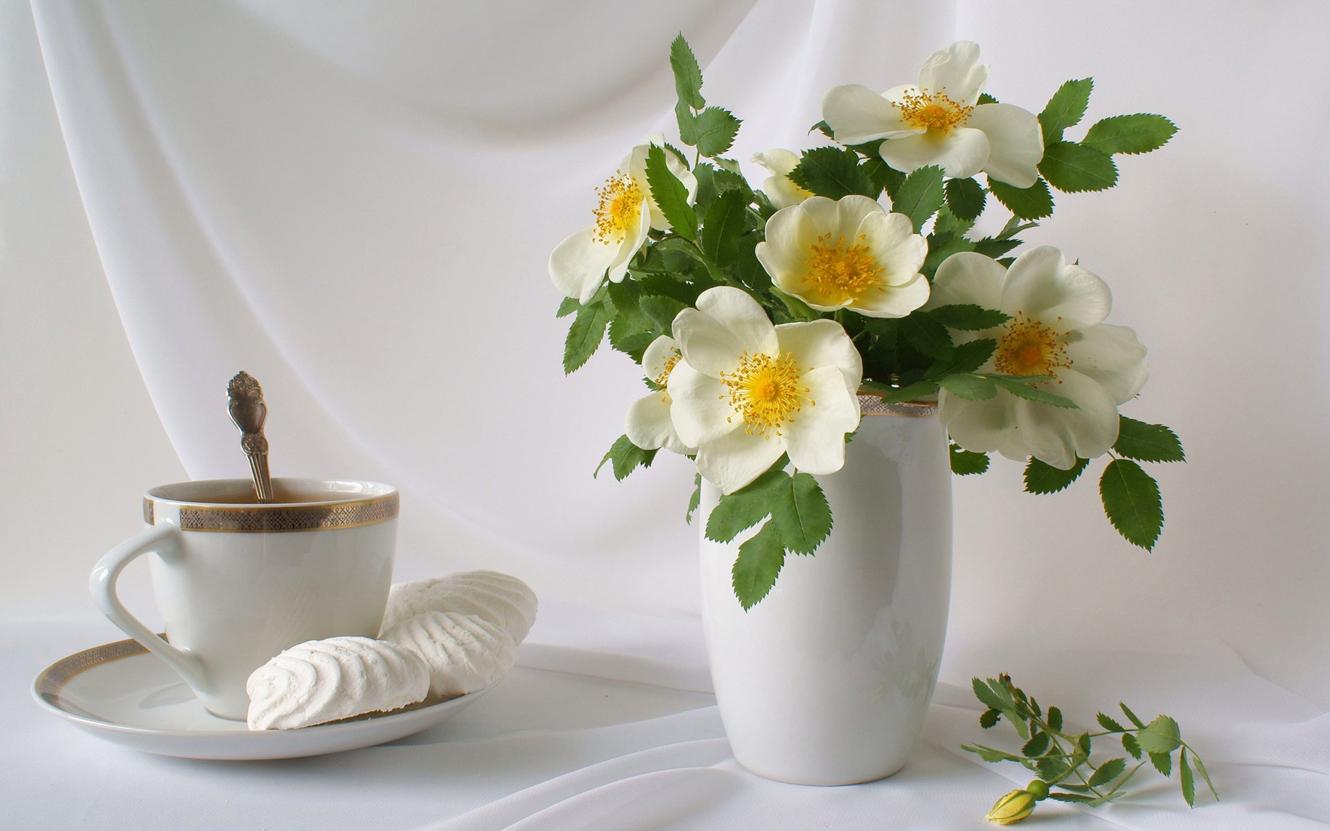 nature morte vase fleurs pétales bouquet tasse thé soucoupe guimauve