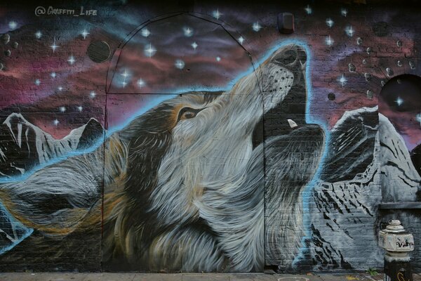 Graphite museau hurlant loup sur le mur