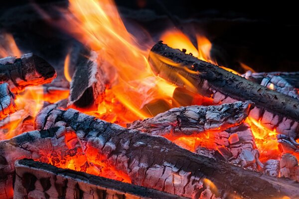 The flame of a bonfire with logs covered with ash