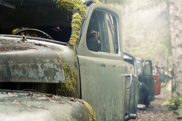 Macro photography an old car covered with moss