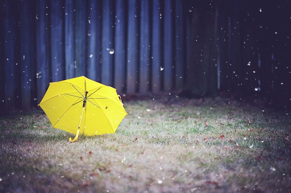 Parapluie jaune vif sur l herbe