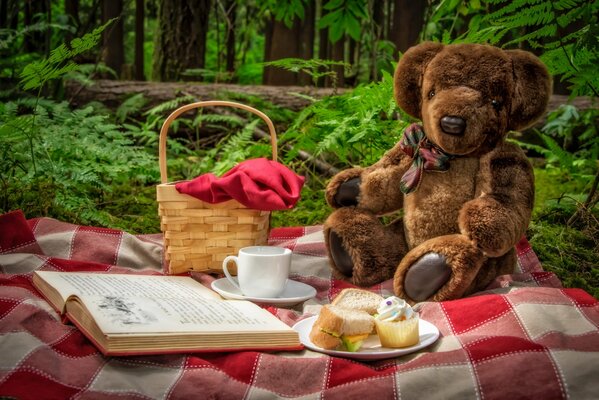 Teddybär in der Natur mit einem Buch